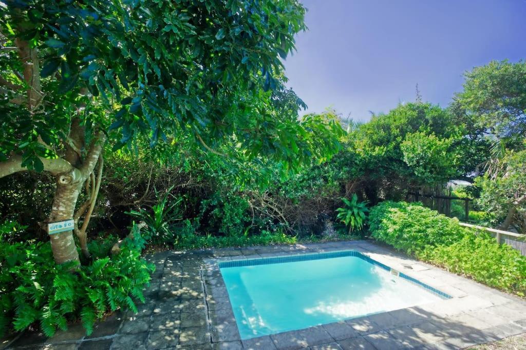 Baleia Azul 26 Villa Ponta Mamoli ภายนอก รูปภาพ